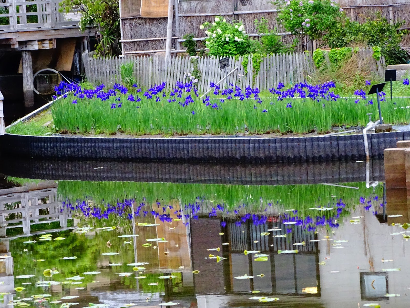 ⛩️ 나가오카 덴만구 신사 이미지 7